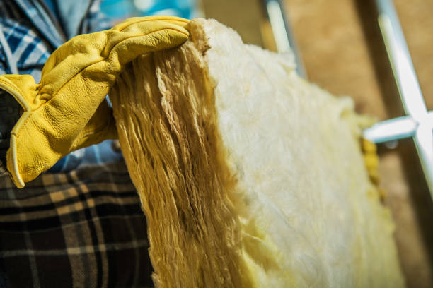 Best Insulation Installation Services in Riverdale Park, CA